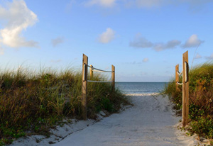 A sandy trail at Curry Hammock State Park. Image: Steve Sammons 